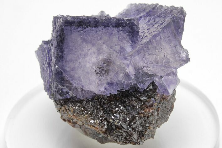 Purple Cubic Fluorite Crystals on Sphalerite - Elmwood Mine #208770